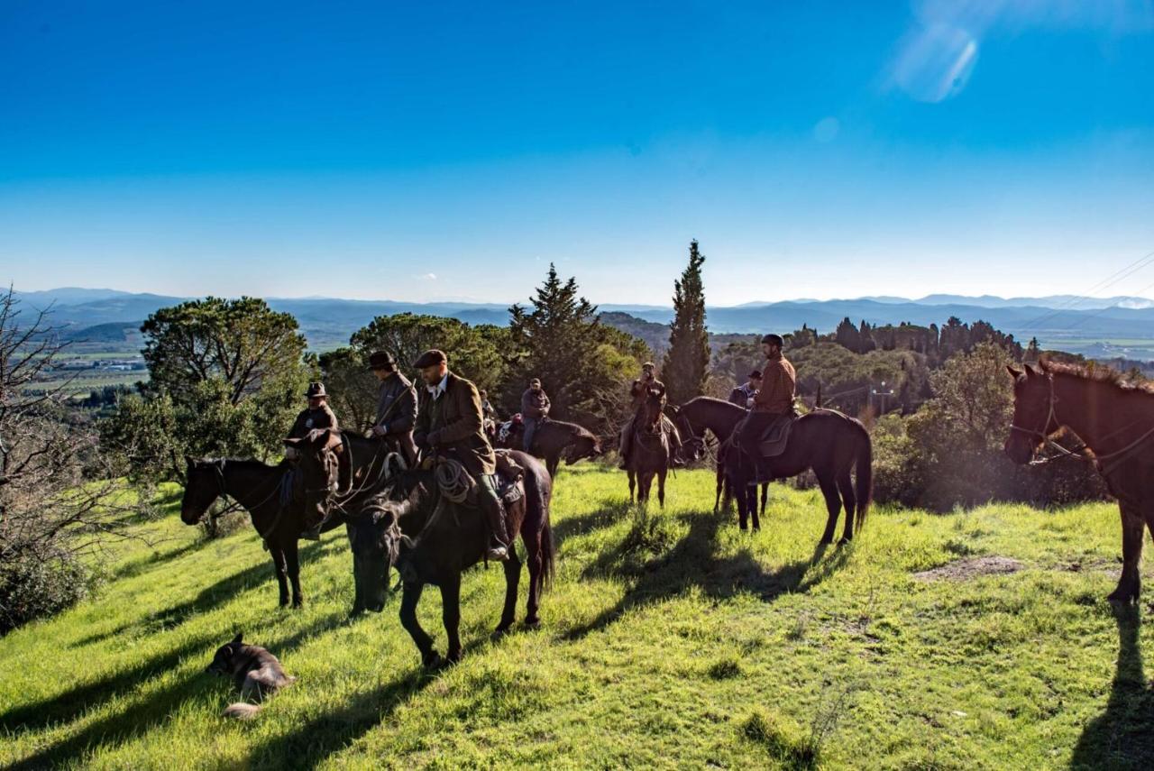 Essenziale Bed & Breakfast Castell'Anselmo Екстериор снимка